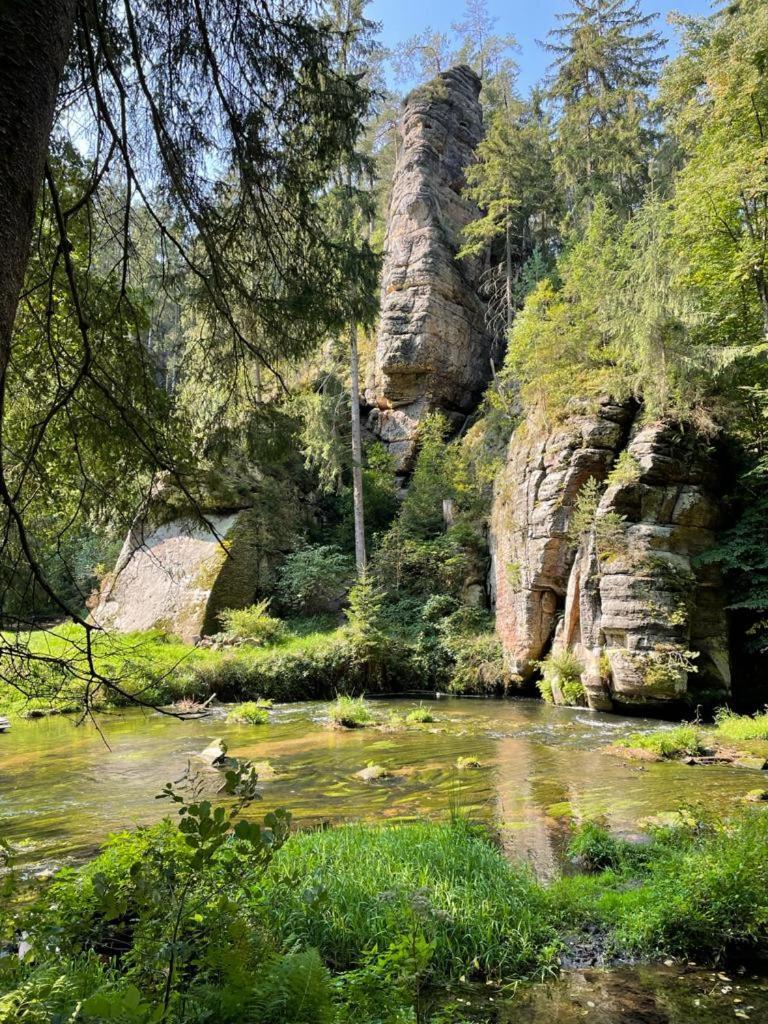 Apartmány Studený Kunratice  Esterno foto